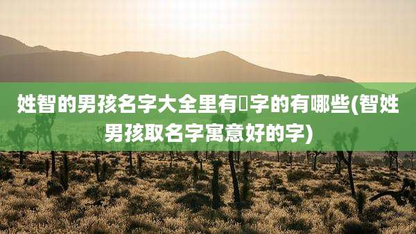 姓智的男孩名字大全里有晞字的有哪些(智姓男孩取名字寓意好的字)