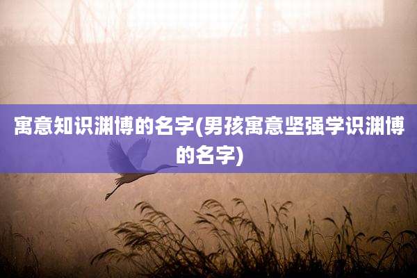 寓意知识渊博的名字(男孩寓意坚强学识渊博的名字)