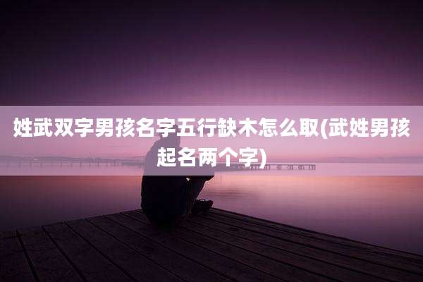 姓武双字男孩名字五行缺木怎么取(武姓男孩起名两个字)