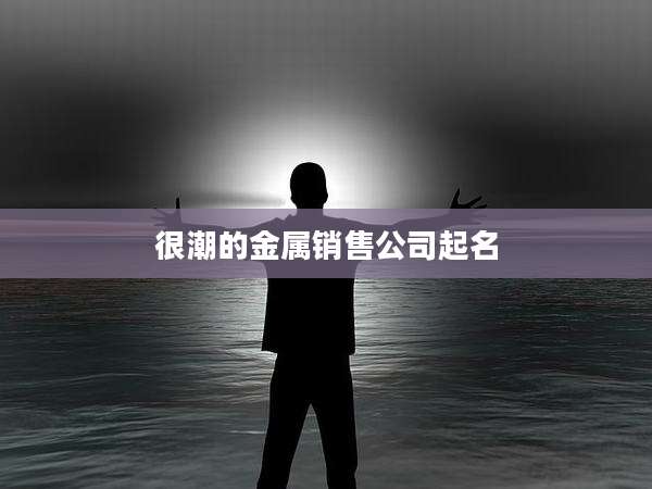 很潮的金属销售公司起名