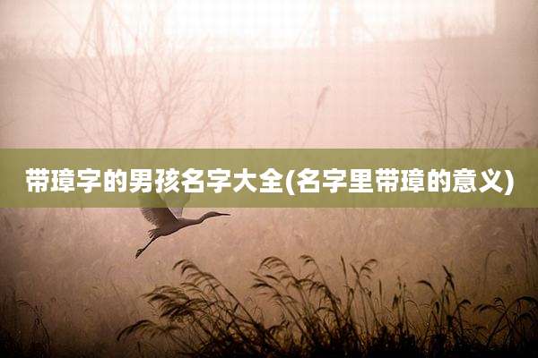 带璋字的男孩名字大全(名字里带璋的意义)