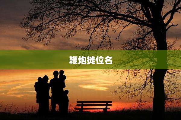 鞭炮摊位名