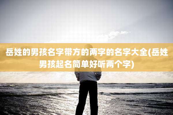 岳姓的男孩名字带方的两字的名字大全(岳姓男孩起名简单好听两个字)