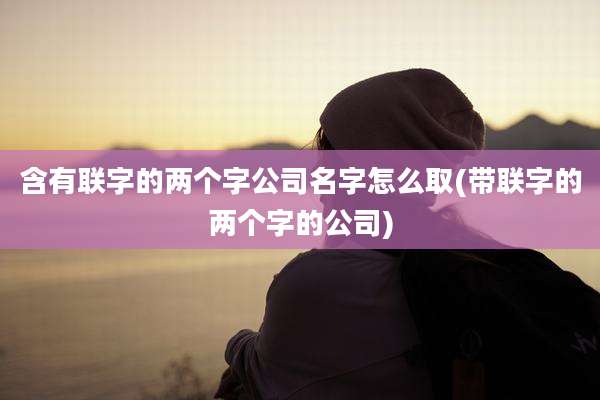 含有联字的两个字公司名字怎么取(带联字的两个字的公司)