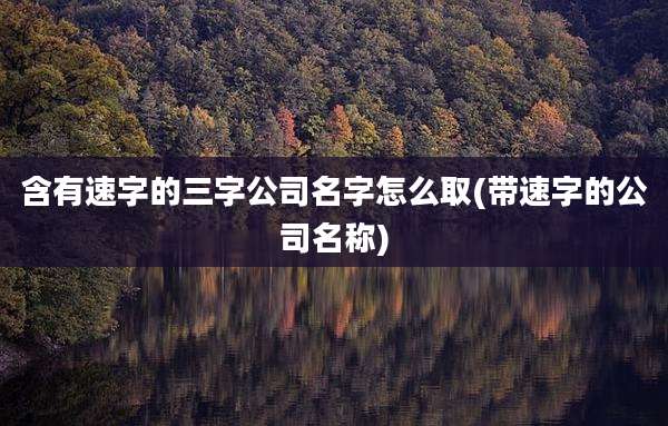 含有速字的三字公司名字怎么取(带速字的公司名称)