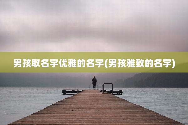 男孩取名字优雅的名字(男孩雅致的名字)