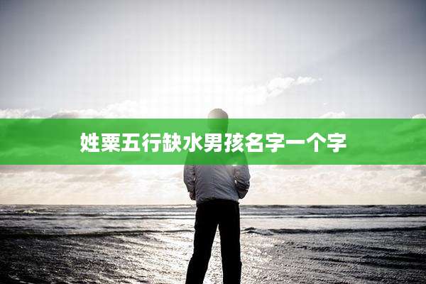 姓粟五行缺水男孩名字一个字