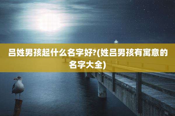 吕姓男孩起什么名字好?(姓吕男孩有寓意的名字大全)
