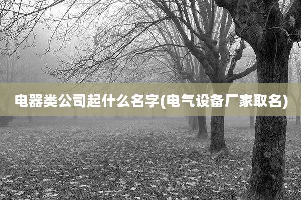 电器类公司起什么名字(电气设备厂家取名)