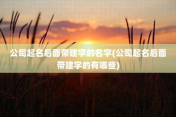 公司起名后面带建字的名字(公司起名后面带建字的有哪些)