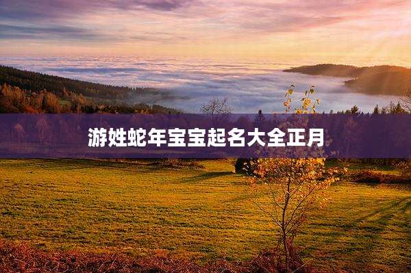 游姓蛇年宝宝起名大全正月