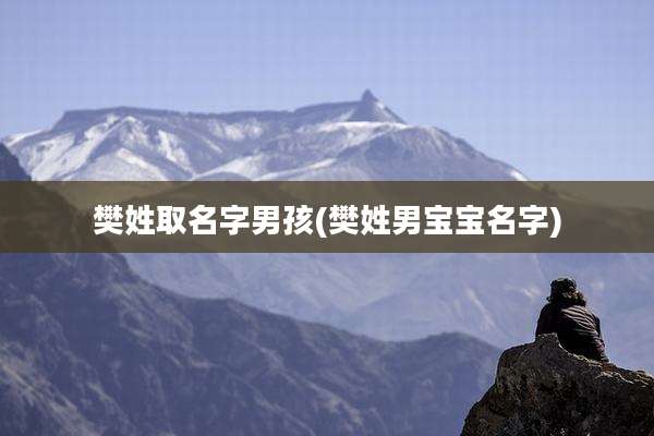 樊姓取名字男孩(樊姓男宝宝名字)