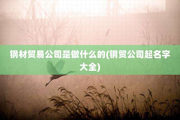 钢材贸易公司是做什么的(钢贸公司起名字大全)