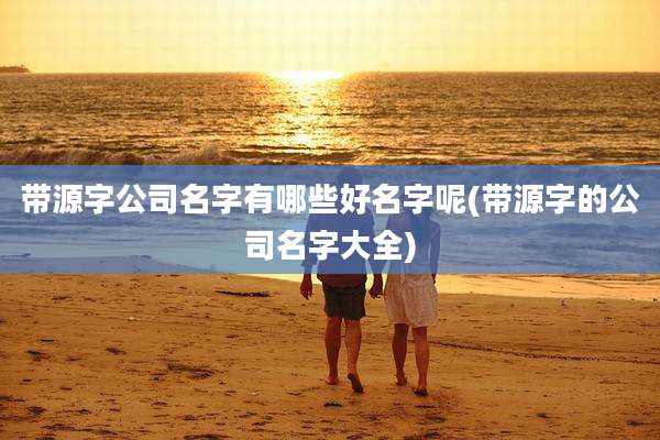 带源字公司名字有哪些好名字呢(带源字的公司名字大全)