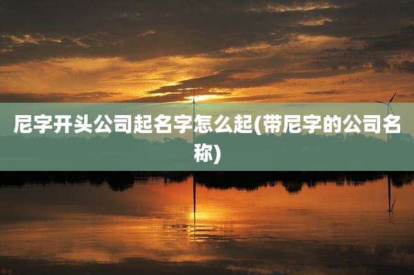 尼字开头公司起名字怎么起(带尼字的公司名称)