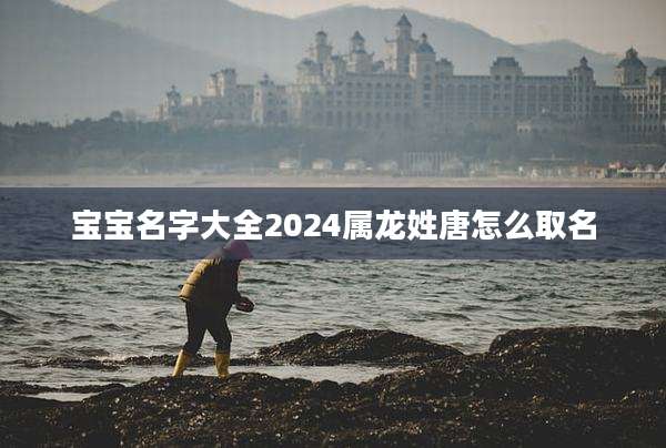 宝宝名字大全2024属龙姓唐怎么取名