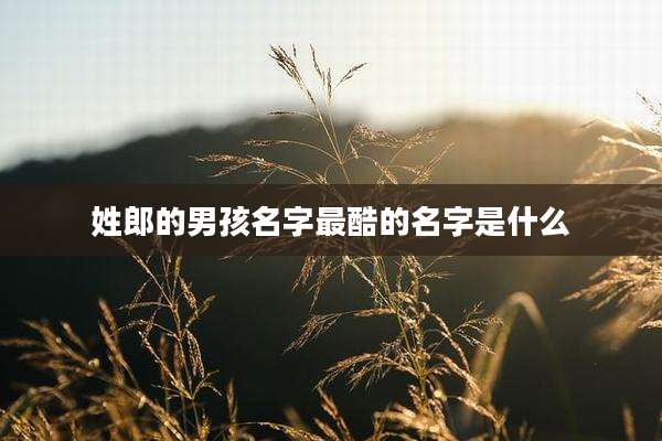 姓郎的男孩名字最酷的名字是什么