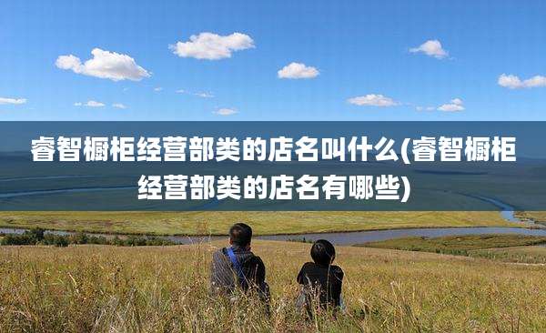 睿智橱柜经营部类的店名叫什么(睿智橱柜经营部类的店名有哪些)