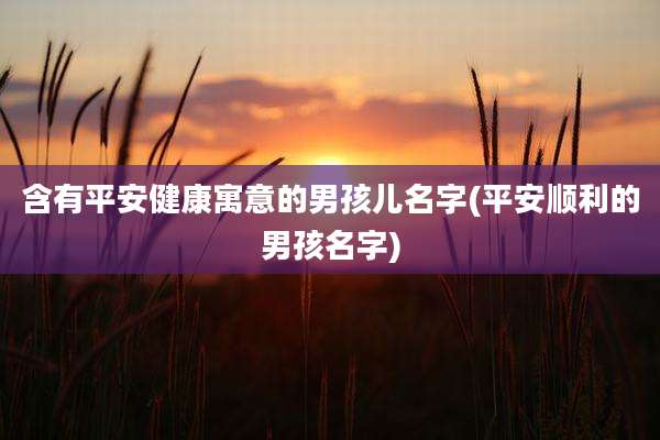 含有平安健康寓意的男孩儿名字(平安顺利的男孩名字)