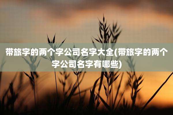 带旅字的两个字公司名字大全(带旅字的两个字公司名字有哪些)