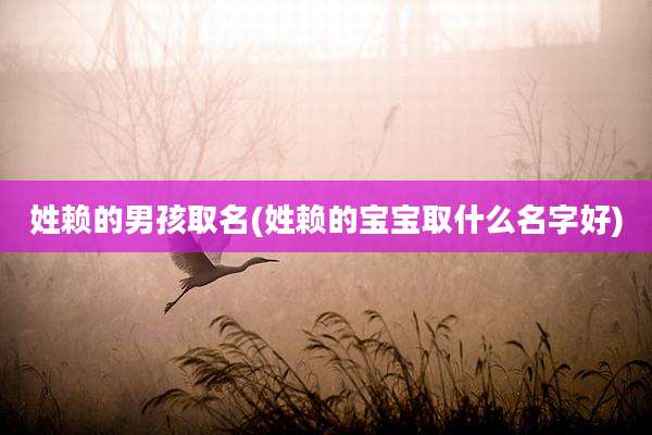 姓赖的男孩取名(姓赖的宝宝取什么名字好)