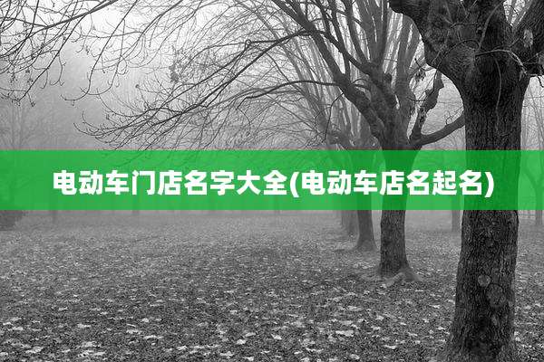 电动车门店名字大全(电动车店名起名)