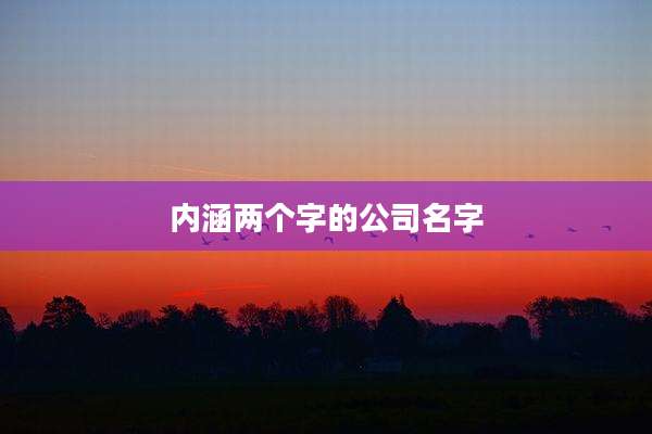 内涵两个字的公司名字