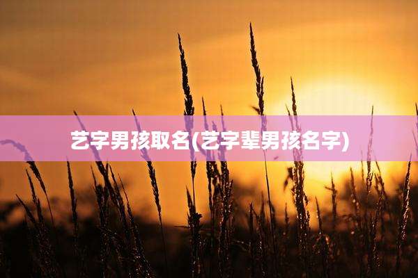 艺字男孩取名(艺字辈男孩名字)