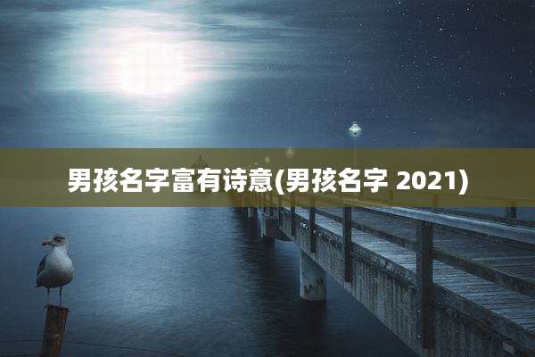 男孩名字富有诗意(男孩名字 2021)