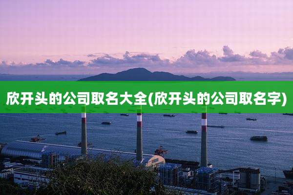 欣开头的公司取名大全(欣开头的公司取名字)