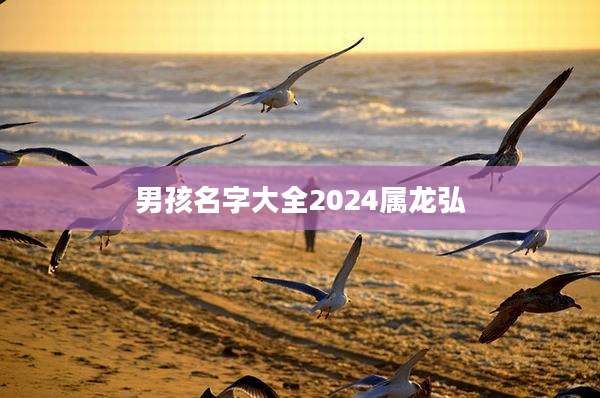男孩名字大全2024属龙弘