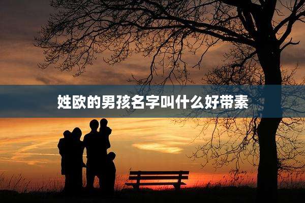 姓欧的男孩名字叫什么好带素