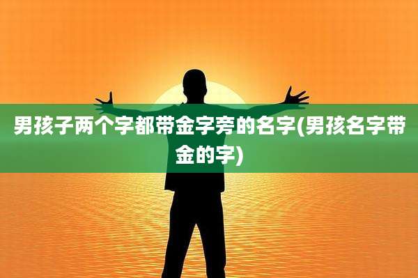 男孩子两个字都带金字旁的名字(男孩名字带金的字)