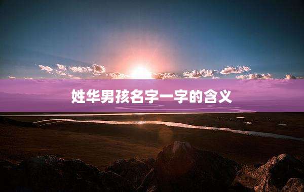 姓华男孩名字一字的含义