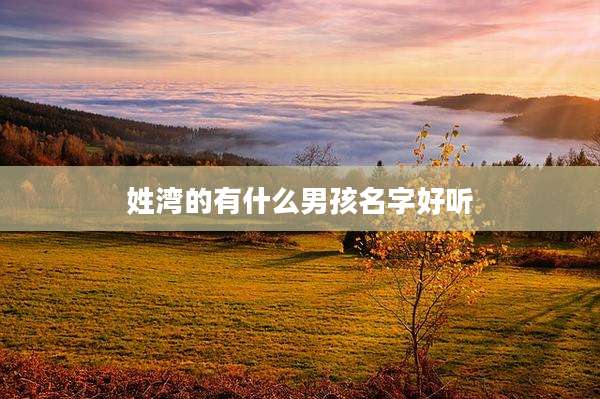 姓湾的有什么男孩名字好听