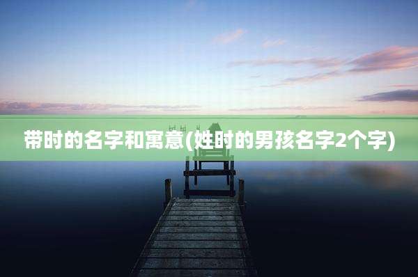 带时的名字和寓意(姓时的男孩名字2个字)