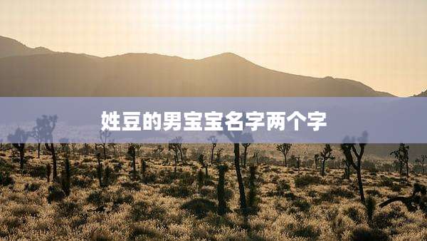 姓豆的男宝宝名字两个字