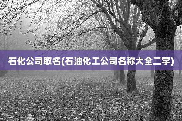 石化公司取名(石油化工公司名称大全二字)