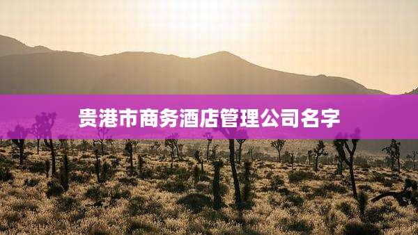 贵港市商务酒店管理公司名字