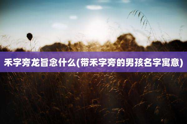 禾字旁龙旨念什么(带禾字旁的男孩名字寓意)
