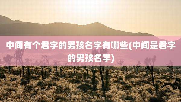 中间有个君字的男孩名字有哪些(中间是君字的男孩名字)