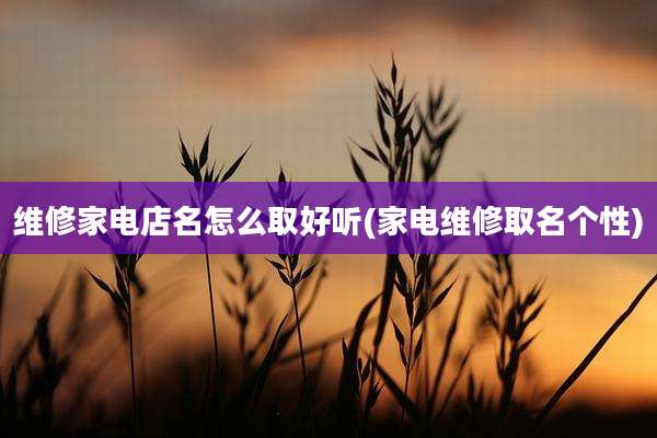 维修家电店名怎么取好听(家电维修取名个性)