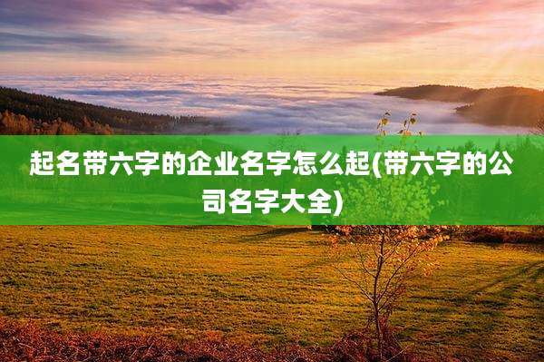 起名带六字的企业名字怎么起(带六字的公司名字大全)