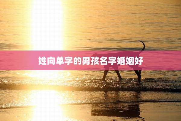 姓向单字的男孩名字婚姻好