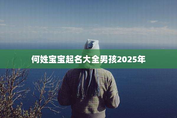 何姓宝宝起名大全男孩2025年