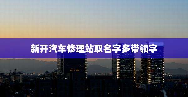 新开汽车修理站取名字多带领字