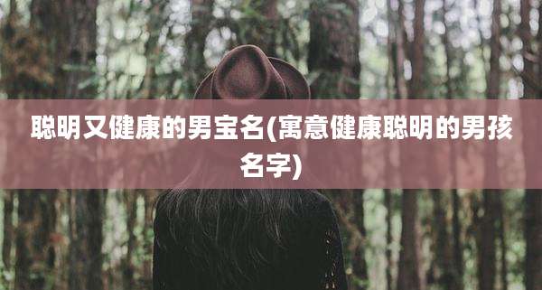 聪明又健康的男宝名(寓意健康聪明的男孩名字)
