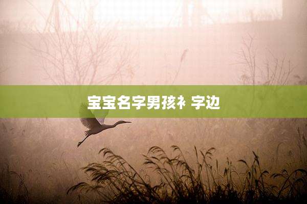 宝宝名字男孩衤字边
