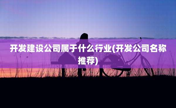 开发建设公司属于什么行业(开发公司名称推荐)