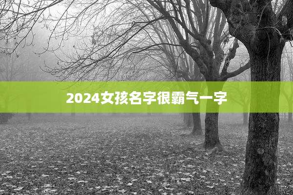 2024女孩名字很霸气一字